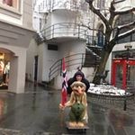 Sean Vaughan - @vaughansean7 - Instagram