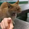 sean vera - @sean.vera2 - TikTok