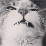 Sean Vick - @seanvick - Instagram