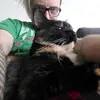 seanmcstravick86 - @seanmcstravick86 - TikTok