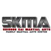 Sean Vine - @skmamartialarts - TikTok