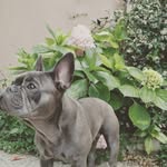sean and viola - @sean_and_viola - Instagram