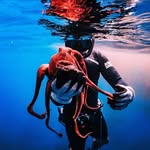 Sean Vogelsang - @seanvogelsang - Instagram