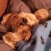 Sean Wales - Facebook