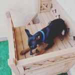 sean waring - @sean__1127 - Instagram