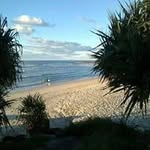 Sean Waugh - @seanrwaugh - Instagram