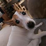 Sean Weigel - @sean.weigel - Instagram