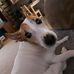 Sean Weigel - Facebook