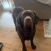 Shawn Westcott - Facebook