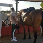 Sean whiteside - @sean_whiteside - Instagram