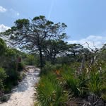 Sean Willson - @sharpshin48 - Instagram