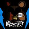 Sean Windsor - @sean_windsor - TikTok