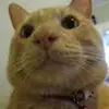 eng_yoon - @seanyoon - TikTok