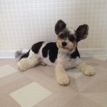 Sean York - @s_e_a_n_y_o_r_k - Instagram