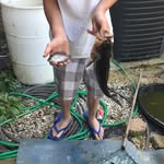 Sean Zack - @hunterman552002 - Instagram