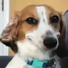 Sean - @seanzimmerlavaux1 - TikTok