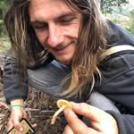 Sean Zimmermann - @zimmermannsean - Instagram