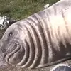 sean.zimmer2005 - @sean.zimmer2005 - TikTok