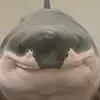 Sebastian Arango - @sebastianarango45 - TikTok