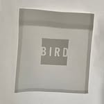 Sebastian Bird - @birdsebastian - Instagram