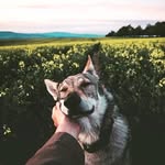 Sebastián Downs - @sebastian_downs27 - Instagram