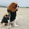sebastian king - @sebastian.king.1 - TikTok