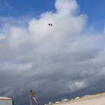 Sebastian Mann - @sebastianmann29 - Instagram