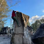 Sebastian Mann - @sebmann1 - Instagram