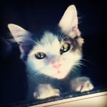 Sebastian Sinclair - @sir.sebastian.sinclair - Instagram
