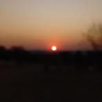 Sebastian Sinclair-fourie - Facebook