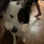 Sebastian Sutton - Facebook