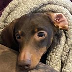 Sebastian Sutton - Facebook