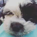 Sebastian Sutton - @sebastian_sutton - Instagram