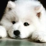 sebastiantkaczyk - @sebusianek_ - Instagram
