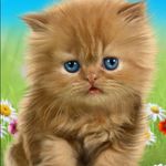 SebleK - @seble.kassa.522 - Instagram