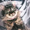 Seçil Atalay Pehliva - @user6478535328220 - TikTok