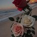 Sidra Anwar - Facebook