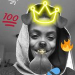curlyhead_king - @sedrick_thomas - Instagram