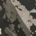 Sedrick - @sedrick_thomas_ - Instagram