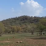 سی‌ لر | seelor - @seelor_57 - Instagram