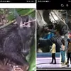 See Lor - @seelor01 - TikTok