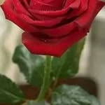 See Lor - @seelauj997 - Instagram