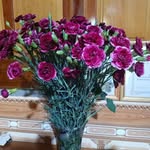Yi Sếnh - @see.lor.104 - Instagram