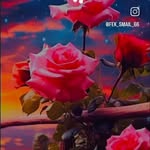 Seema Ali - @seemaali844 - Instagram