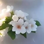 Seema Ali - @seemaali325 - Instagram