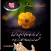 Seema Ali - Facebook