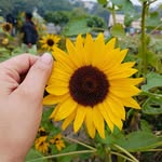 Seema Ali - @muskan_2513_ - Instagram