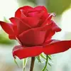 nranjan jagadale - @seemajagadale7 - TikTok