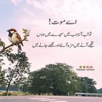 Seema Shafi - @seemi.shafi - Instagram
