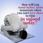 Seema Shafi - @seema.shafi.56 - Instagram